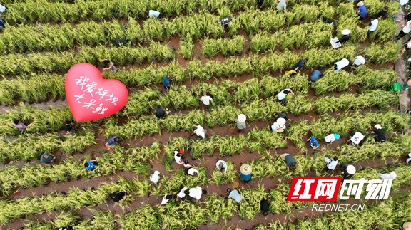 图片12.marked.jpg
