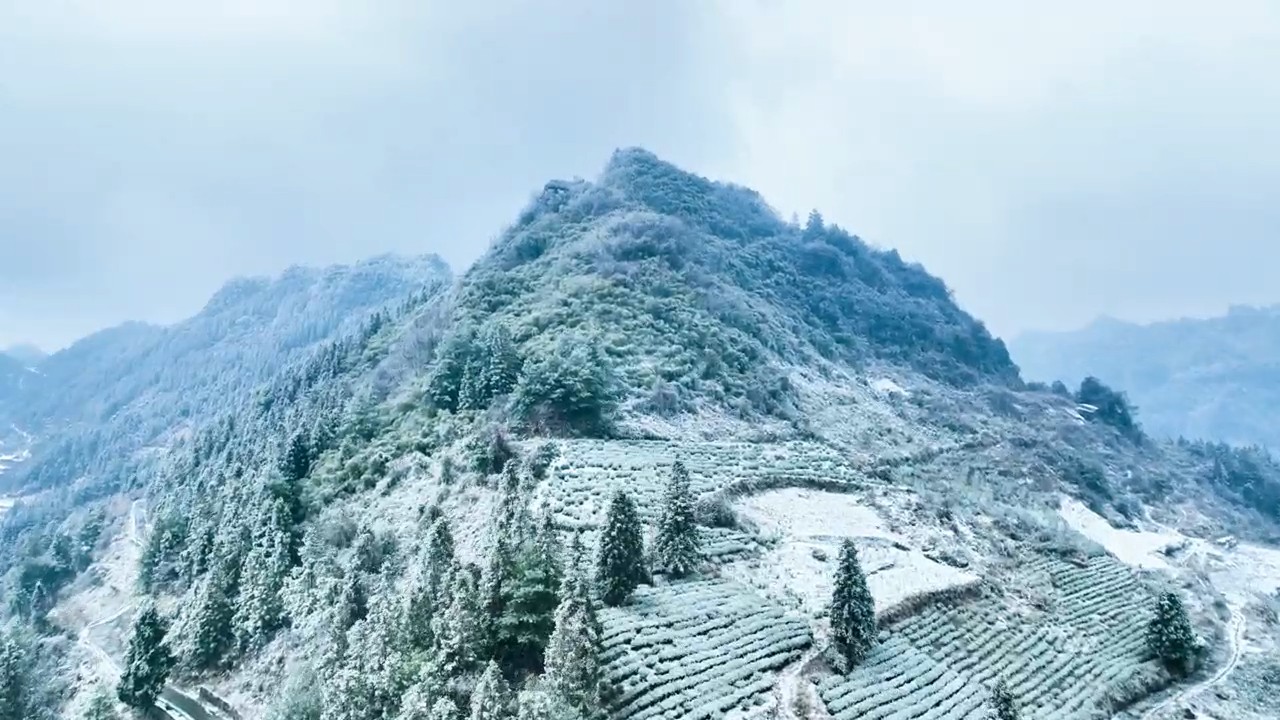 牛背山雪韵:一垄银装一垄春