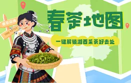 春茶地图：一键解锁湘西采茶好去处