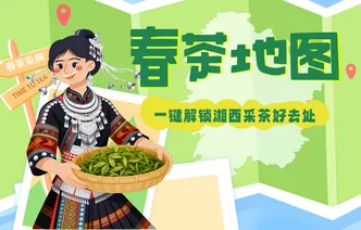 春茶地图：一键解锁湘西采茶好去处