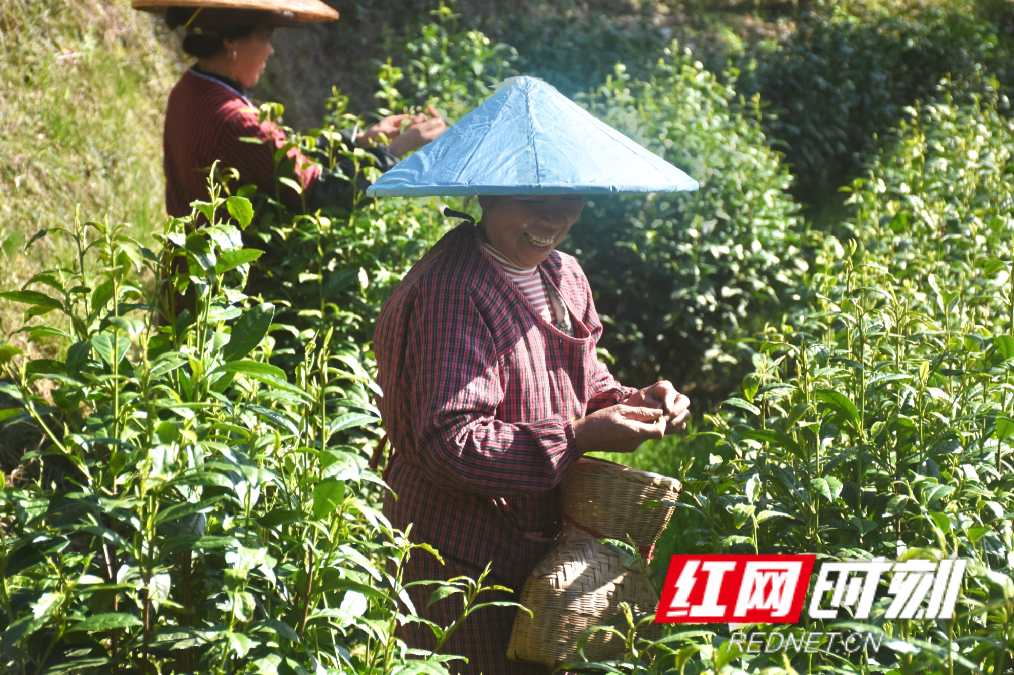 微信图片_20260316111507.jpg 微信图片_20260316111507.jpg