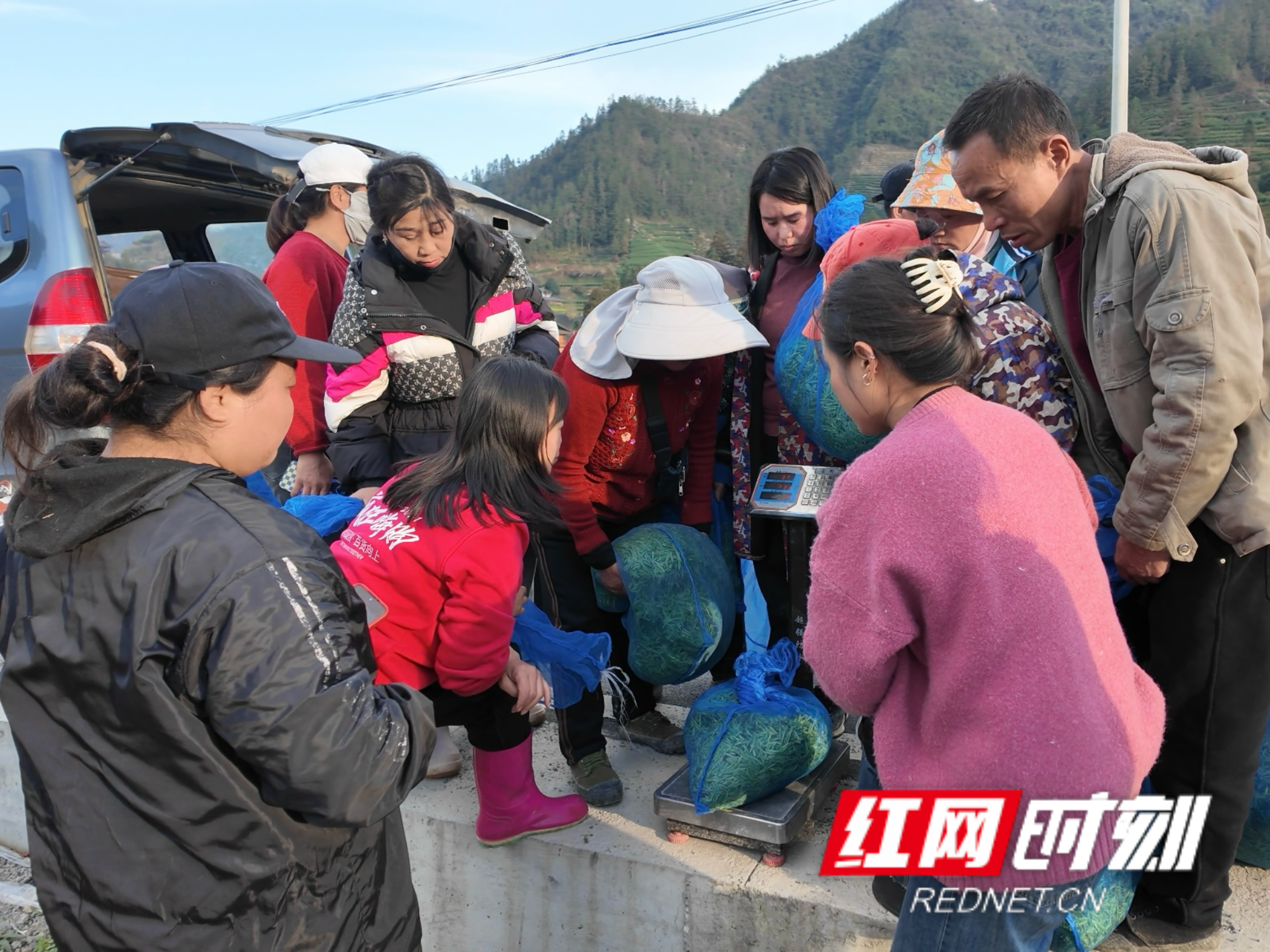 微信图片_20260316111458.png 微信图片_20260316111458.png