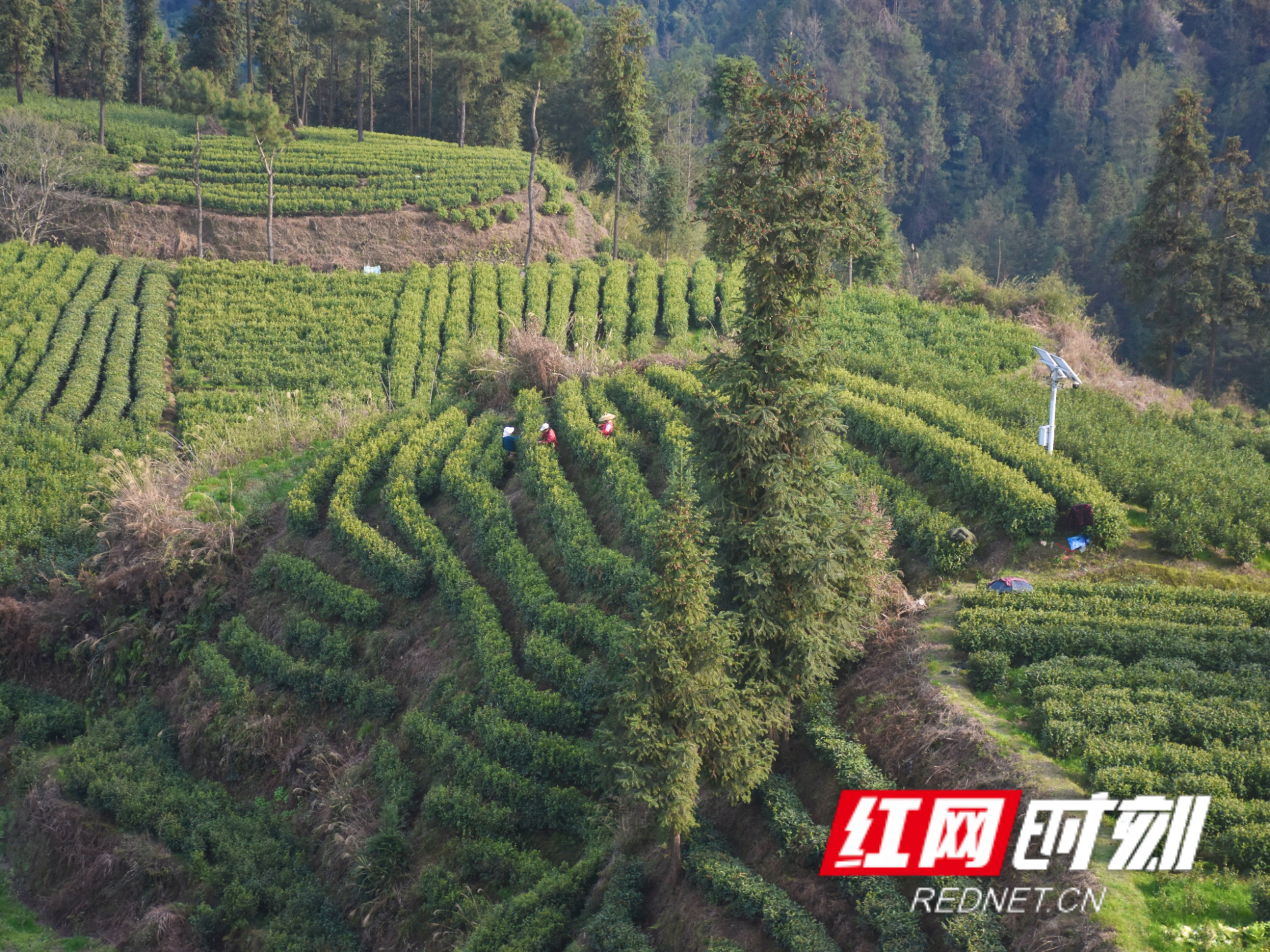 微信图片_20260316111450.jpg 微信图片_20260316111450.jpg