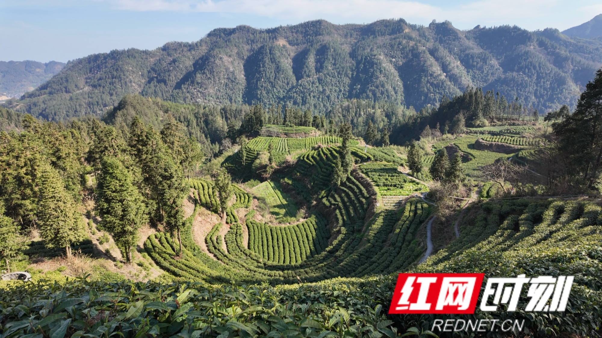 微信图片_20260316111501.jpg 微信图片_20260316111501.jpg