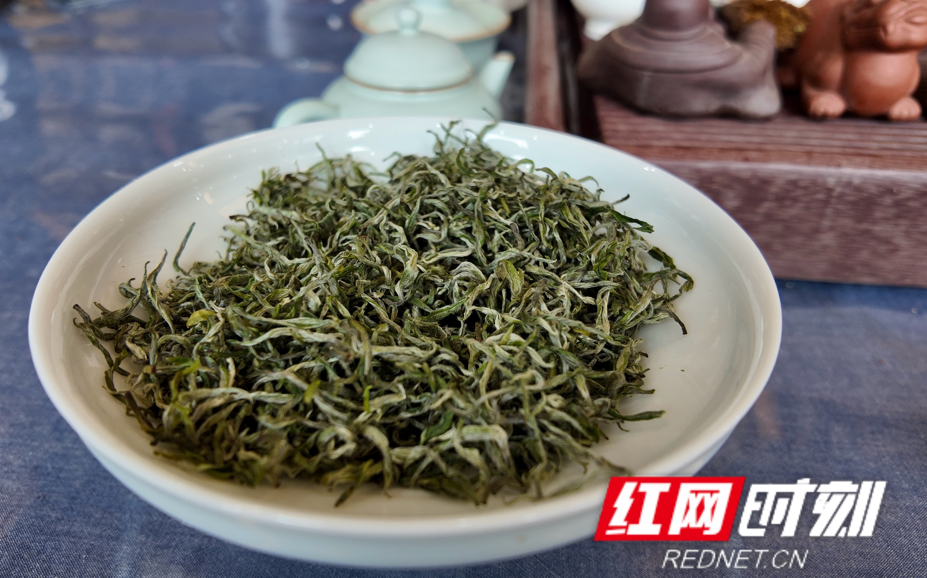 微信图片_20260320163513.jpg 微信图片_20260320163513.jpg