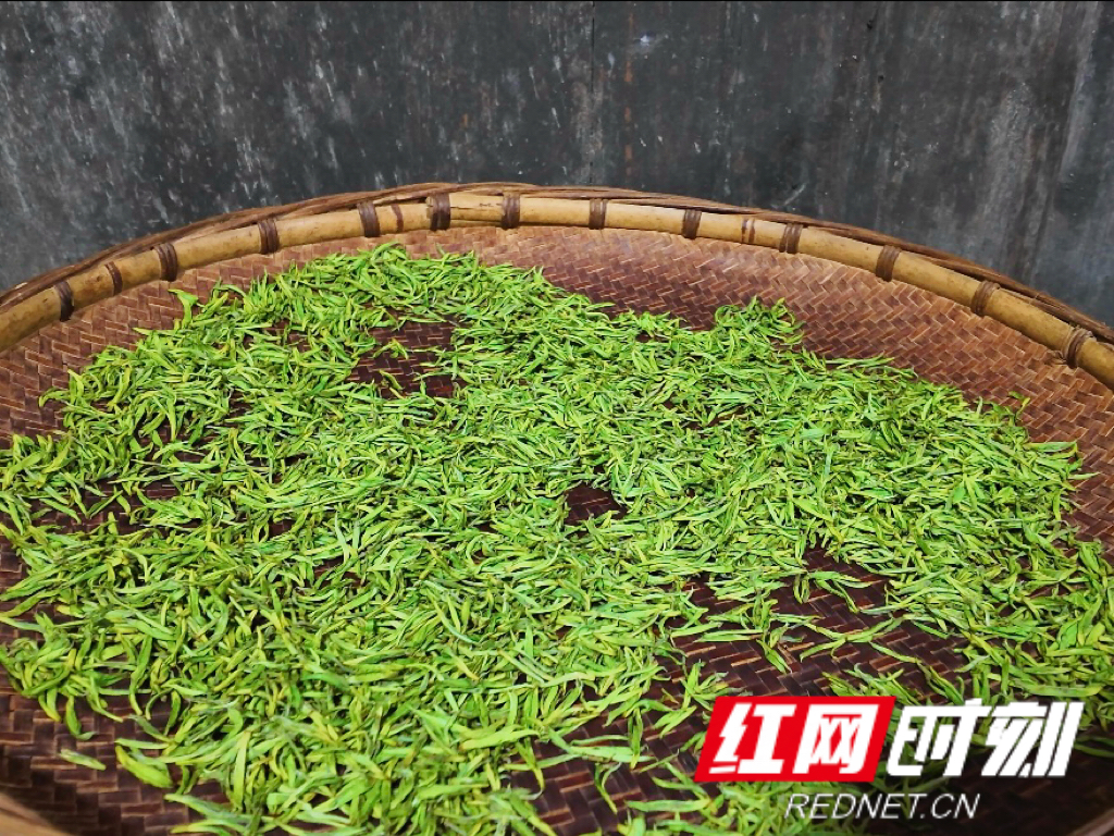 微信图片_20260320164518.jpg 微信图片_20260320164518.jpg