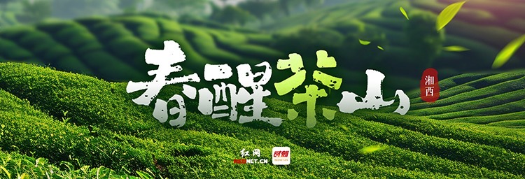 微信图片_20260320170145.jpg 微信图片_20260320170145.jpg