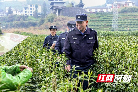 图片2.marked.jpg