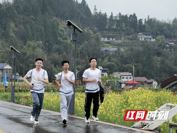 微信图片_20260328155119.marked.jpg 微信图片_20260328155119.marked.jpg