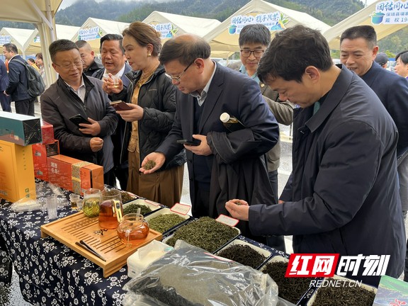 微信图片_20260331165220.marked.jpg 微信图片_20260331165220.marked.jpg