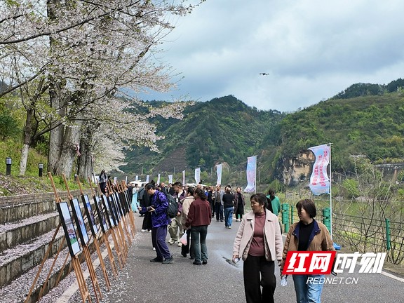 微信图片_20260403140849.marked.jpg 微信图片_20260403140849.marked.jpg