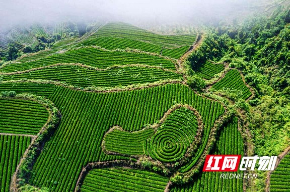 图片38.marked.jpg 图片38.marked.jpg