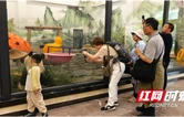 凤凰中华大熊猫苑：国宝憨态吸粉境外游客