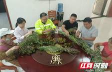 湘西高速各基层站所开展端午廉洁活动