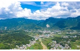 龙山县：网上中介服务超市改革 赋能营商环境提质增效