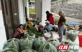 党群服务中心变身“辣椒驿站” 吉首市岩寨村贴心服务助农增收