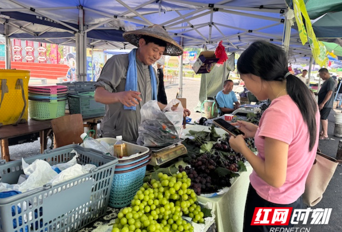 组图｜就在今晚！吉首市河溪镇葡萄展销活动即将甜蜜来袭