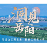 洞见岳阳丨以制度固本优营商 以服务暖心助企兴