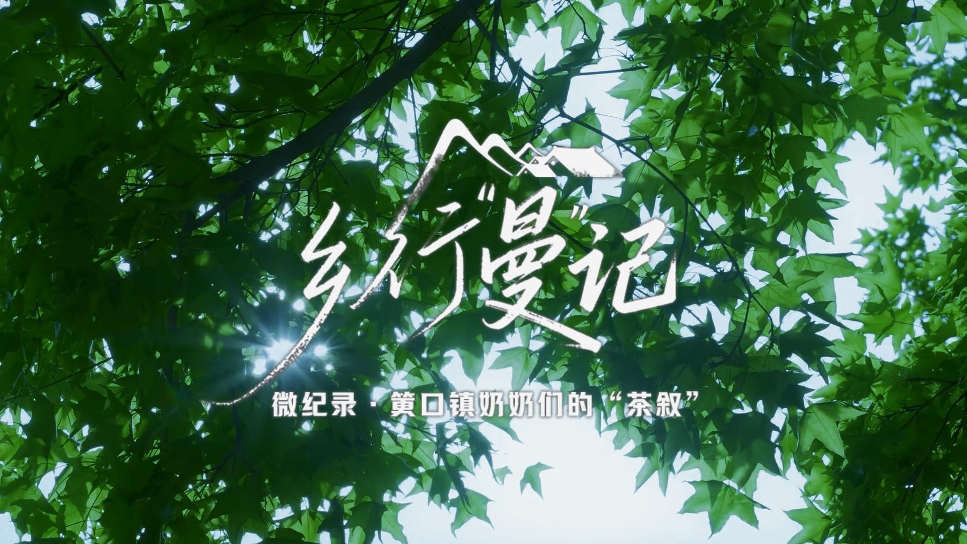筻口镇奶奶们的“茶叙”