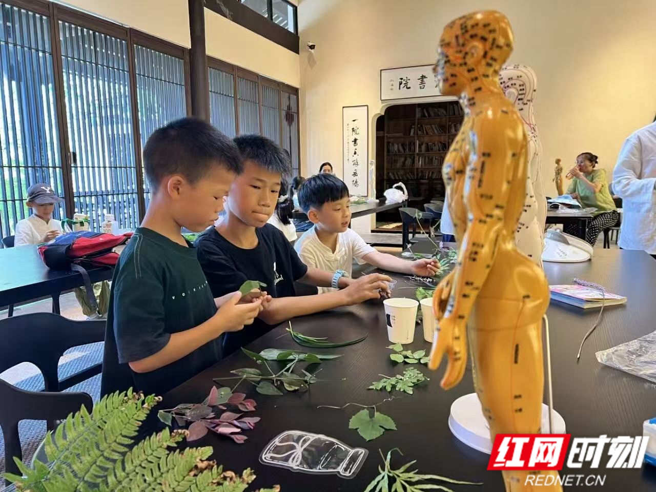 金鹗4.jpg 金鹗4.jpg