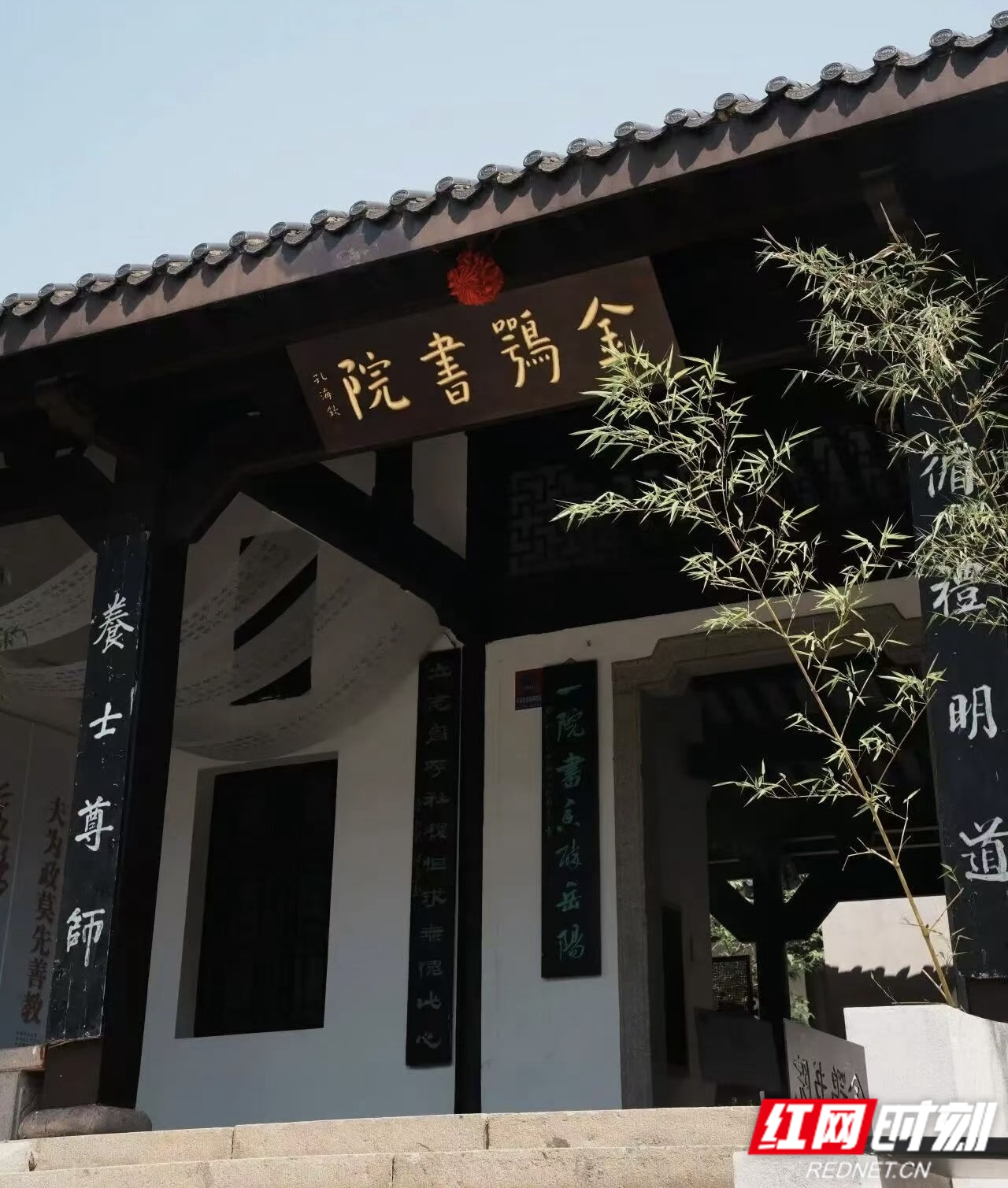 金鹗51.jpg 金鹗51.jpg