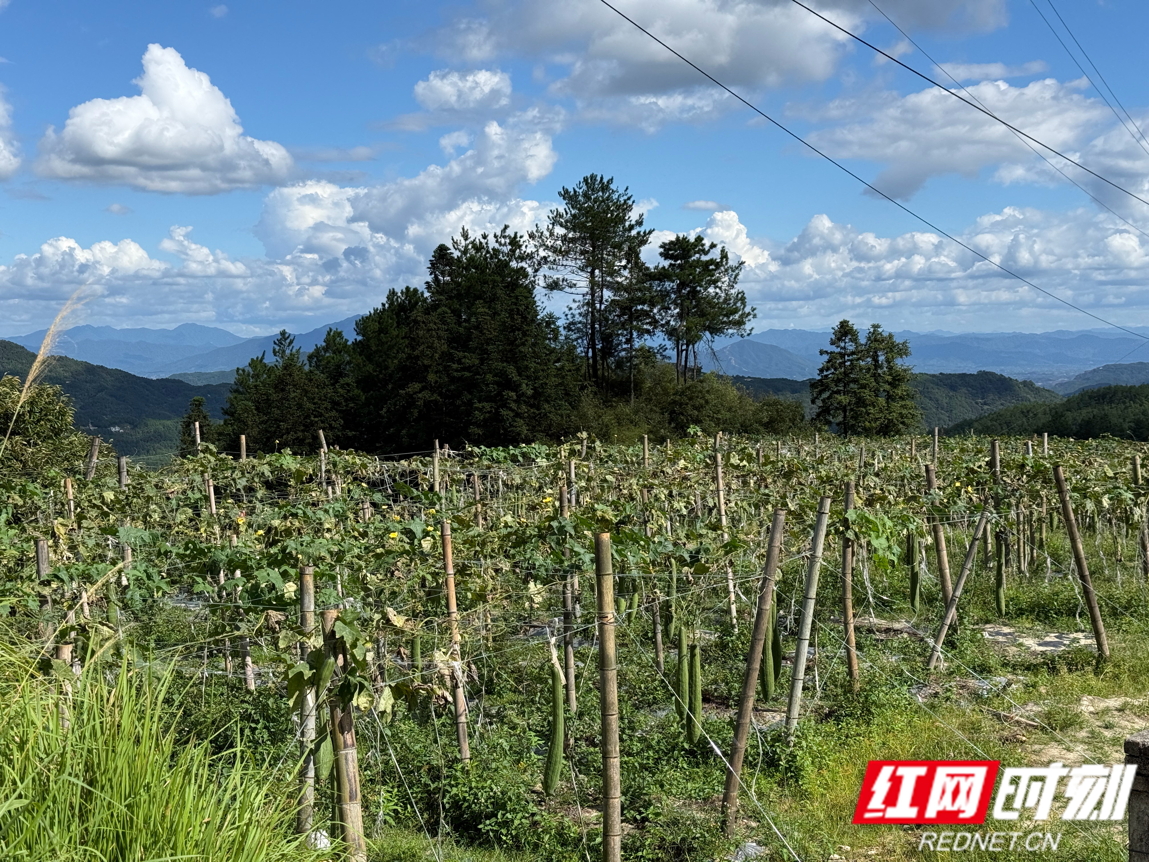黄龙山村5.jpg