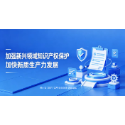 专栏 | 加强新兴领域知识产权保护 加快新质生产力发展