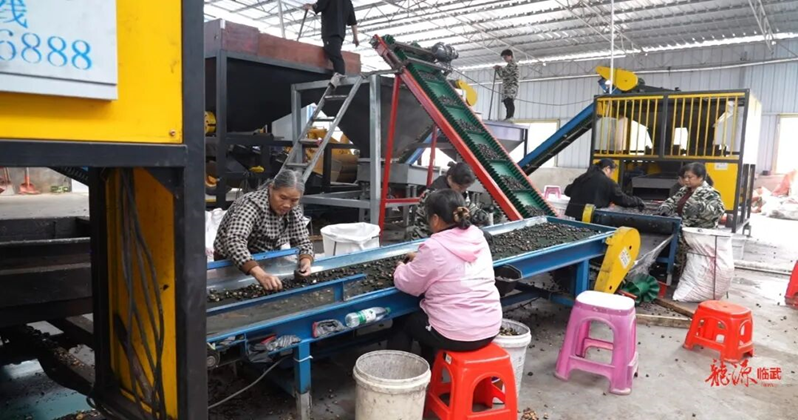 临武人大赋能企业科技创新