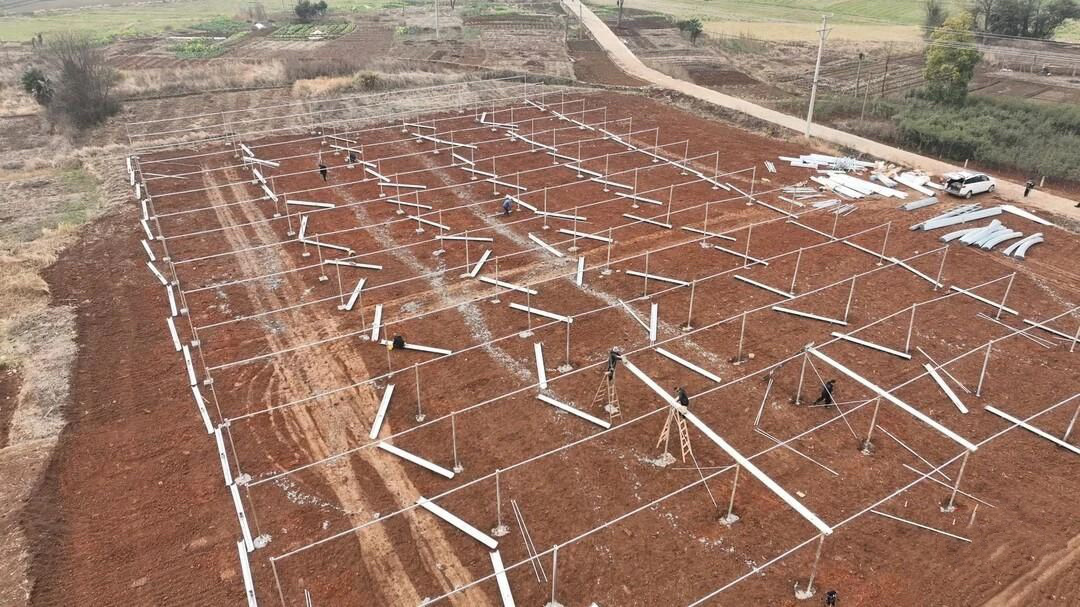 图片1.png 图片1.png