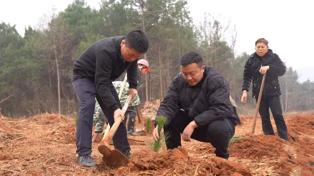 图片1.png 图片1.png