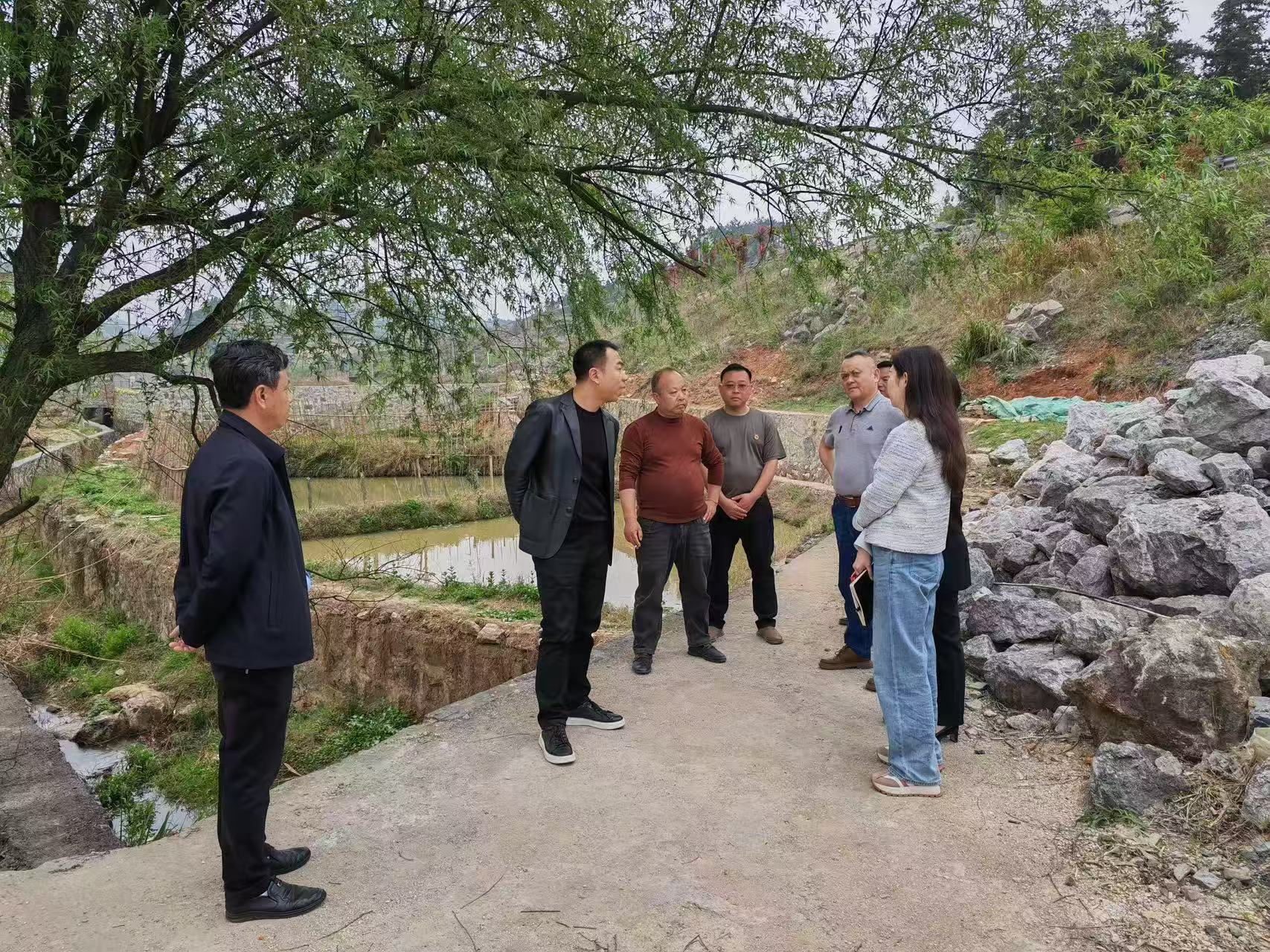 临武人大：双向“联”动共解水库治污难题