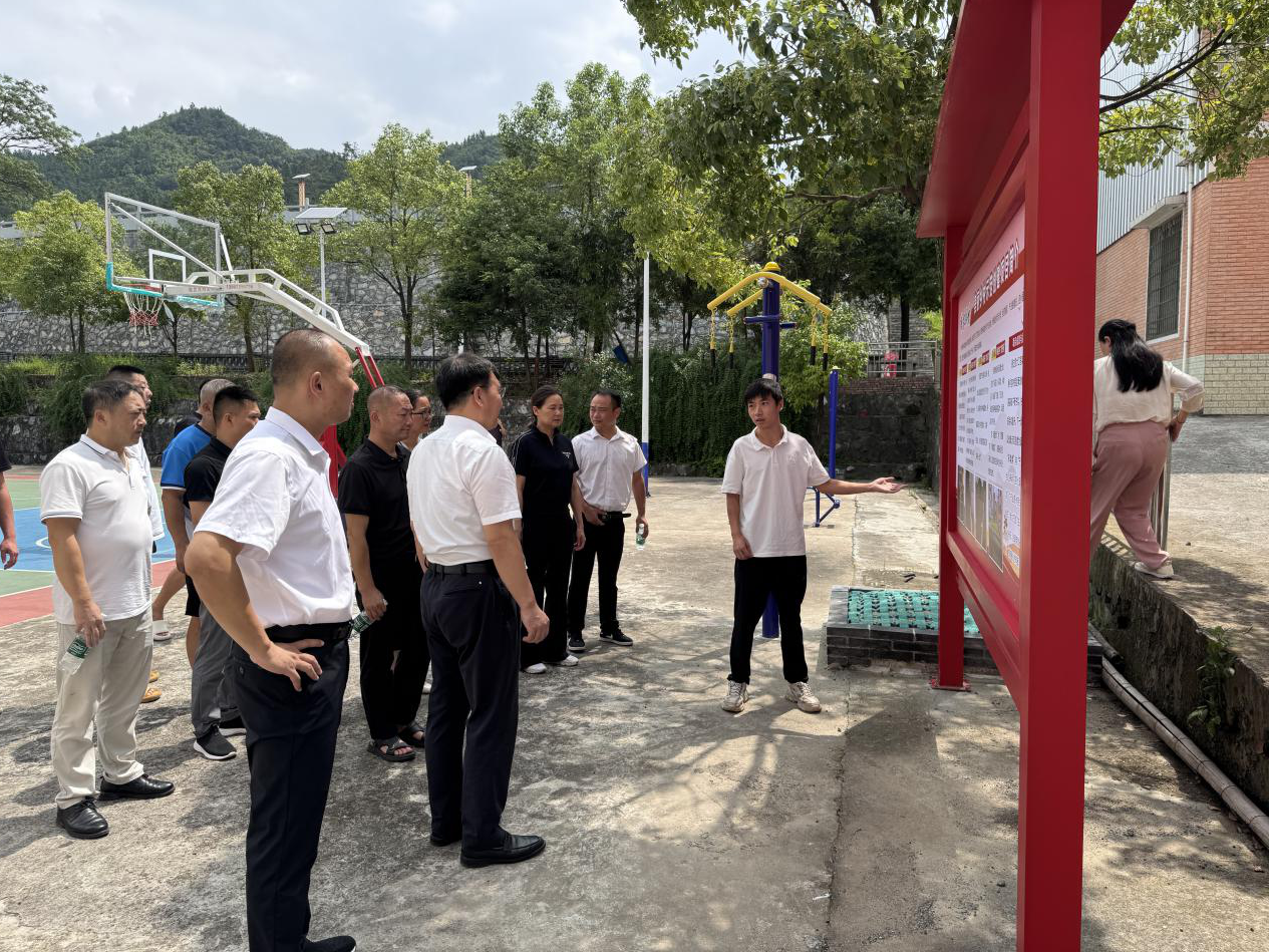 金江镇：专题视察为乡村振兴注入绿色动能