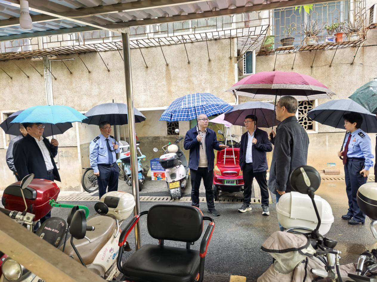 市人大调研组来临督导安全生产执法检查审议意见落实情况