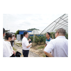 为受灾农户降息、减费！ 湖南农担联合金融机构助力灾后农业恢复生产