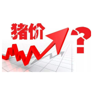 7月9日全国农产品批发市场猪肉平均价格比昨天上升0.3%