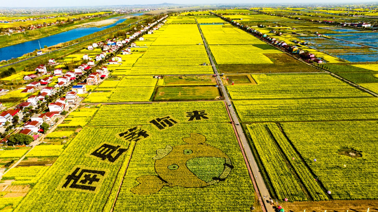 微信图片_20251117112259.jpg 微信图片_20251117112259.jpg