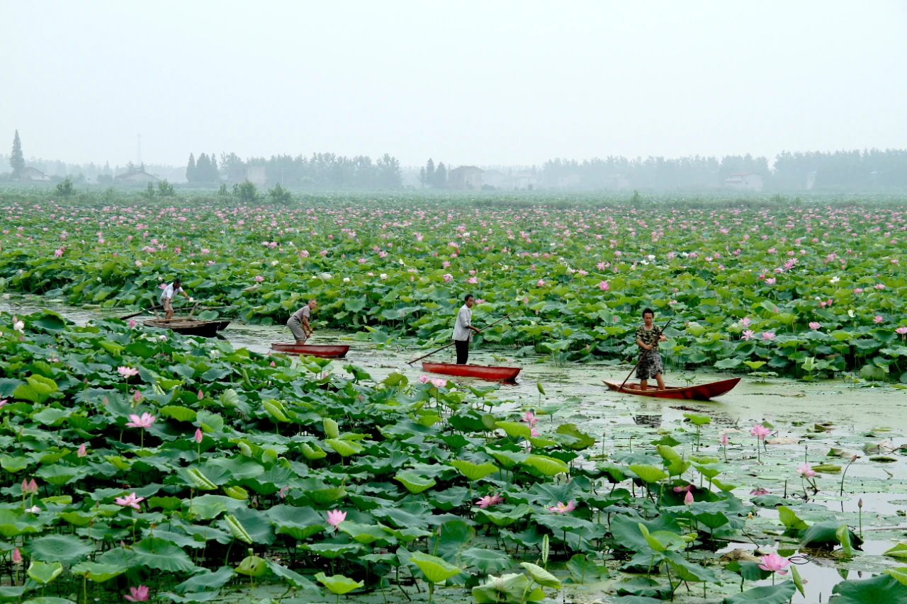 微信图片_20251117112411.jpg 微信图片_20251117112411.jpg