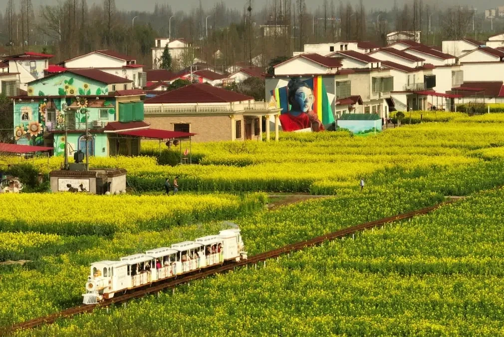 微信图片_20251117112151.jpg 微信图片_20251117112151.jpg