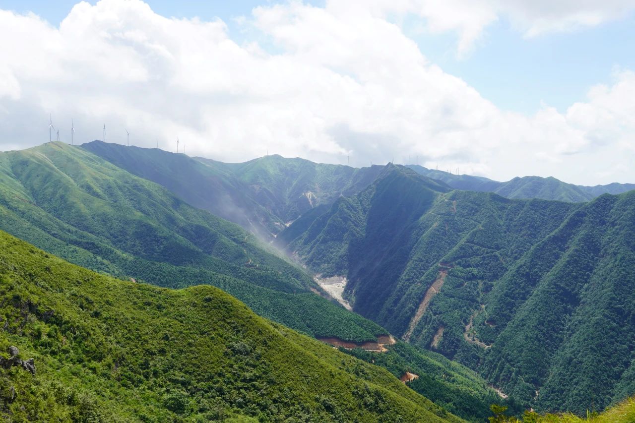 微信图片_2025-07-14_160022_918.jpg
