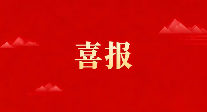 湖南省地质院系统6个党支部获评第二批省直机关“四强”党支部