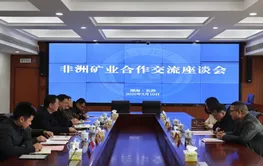 湖南省湘非经贸商会到访湖南省地质院空间所 共商非洲矿业合作