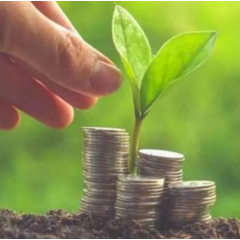 聚焦数据要素与绿色低碳重点场景 上海数据交易所碳板块上线