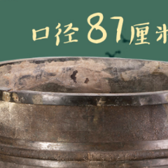 如果文物会说话｜铸客大鼎：“安邦”重器