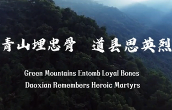 青山埋忠骨 道县思英烈——缅怀陈树湘烈士