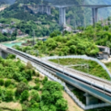 基层干部须深扎“向下”之根