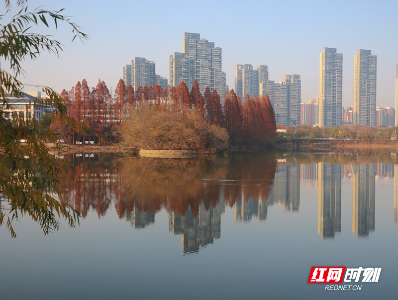 东湖湿地1.jpg