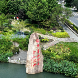 好评中国丨把更多绿水青山的生态答卷变成“金色账本”