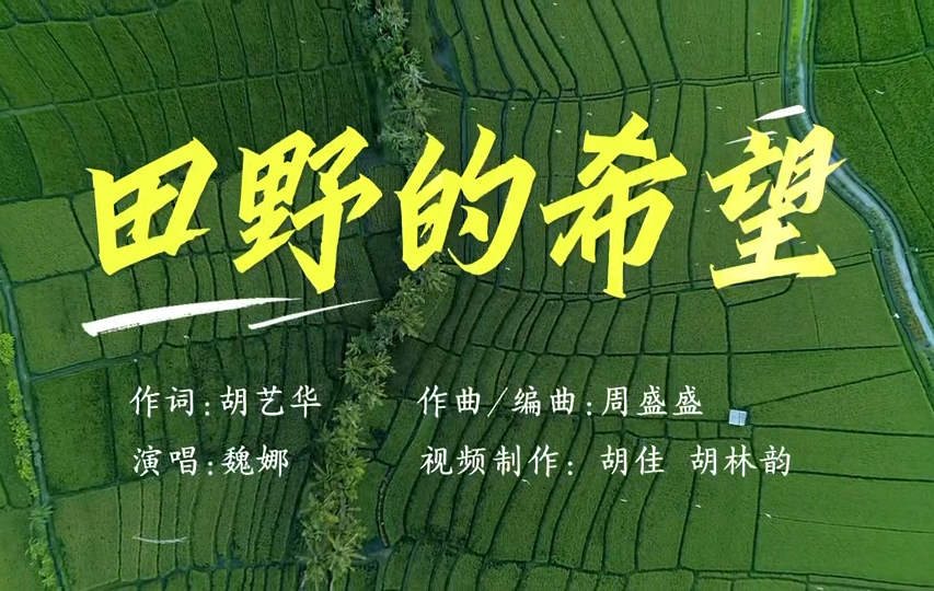 原创歌曲丨《田野的希望》