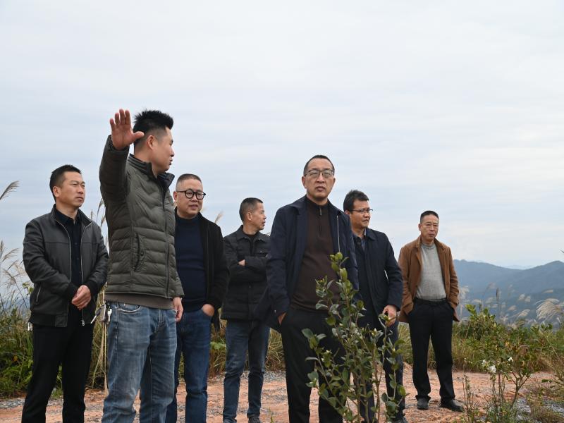 图片1.jpg 图片1.jpg