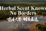 《药香无界，暗香盈远》〡第三届湖南省大学生“用英语讲好湖南故事”作品展播⑤